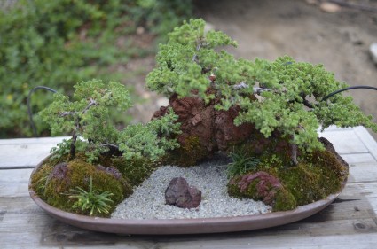 Hòn non bộ mini - mẫu tham khảo 20