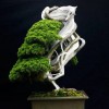 Cây cảnh bonsai đẹp - 139