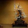 Cây cảnh bonsai đẹp - 199