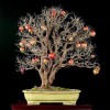 Cây cảnh bonsai đẹp - 300