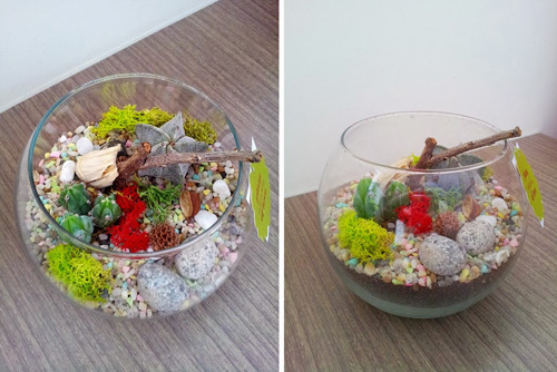 bình cây mini,bình cây nhỏ,bình cây tí hon,bình cây thủy tinh,cách làm bình cây mini,cách làm bình cây thủy tinh,cây cảnh mini,cây cảnh tí hon,terrarium