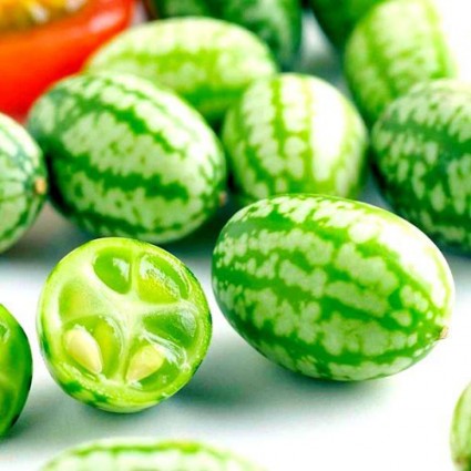 Dưa hấu tí hon,dưa hấu,dưa hấu nhỏ mexico,dưa hấu chuột,dưa chuột chua Mexico,Melothria scabra,Cucamelon,Pepquino,cây leo làm cảnh,cây leo ăn quả,cách trồng và chăm sóc dưa hấu tí hon,Dưa hấu tí hon (dưa hấu chuột)