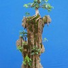 Cây cảnh bonsai đẹp - 109
