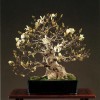 Cây cảnh bonsai đẹp - 169