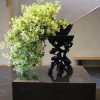Cây cảnh bonsai đẹp - 295