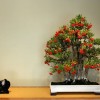 Cây cảnh bonsai đẹp - 58
