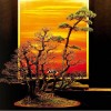 Cây cảnh bonsai đẹp - 61